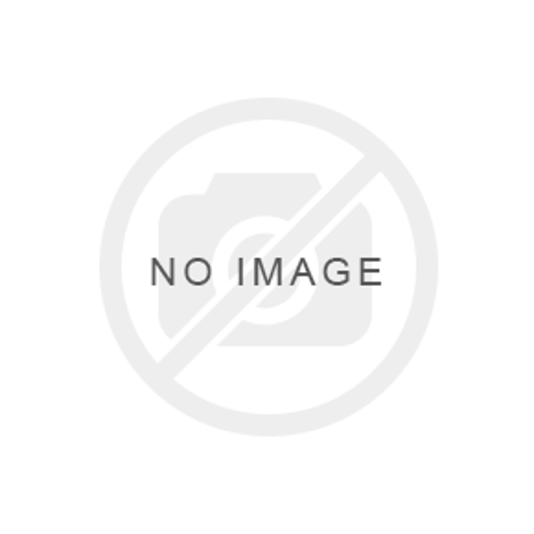 Picture of Arches Women's Padded Jacket